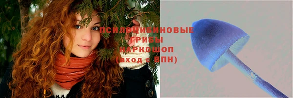 MESCALINE Богородицк