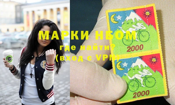 прущие грибы Богданович