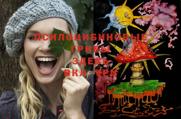 прущие грибы Богданович