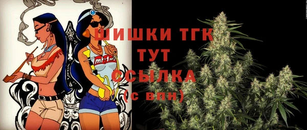 прущие грибы Богданович