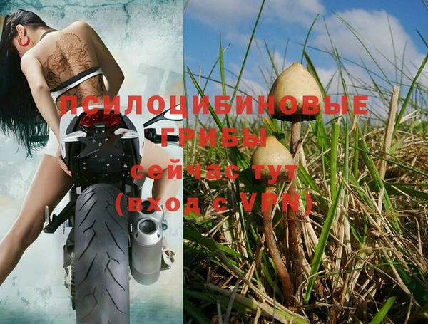 MDMA Бородино