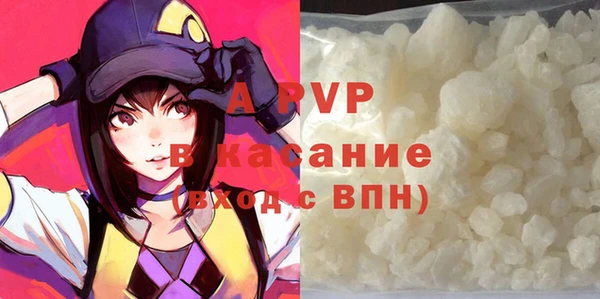 прущие грибы Богданович