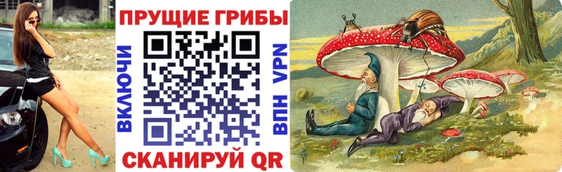 Псилоцибиновые грибы GOLDEN TEACHER hydra как войти Можайск